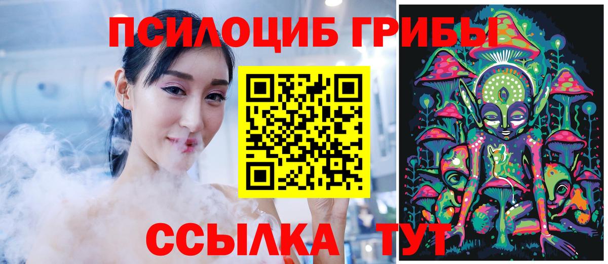 Псилоцибиновые грибы мицелий  Псилоцибиновые грибы GOLDEN TEACHER  Вход с VPN  Кудымкар 