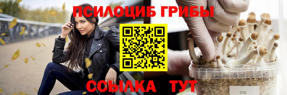 Галлюциногенные грибы Psilocybe Кудымкар